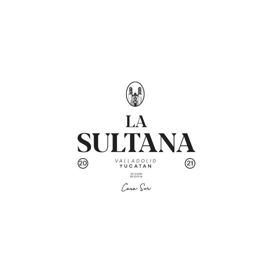 Villa La Sultana Amazing New House With Pool Valladolid  Exterior foto