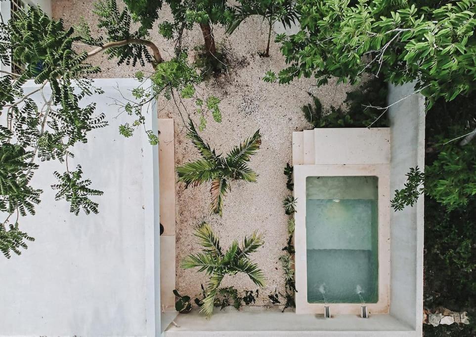 Villa La Sultana Amazing New House With Pool Valladolid  Exterior foto