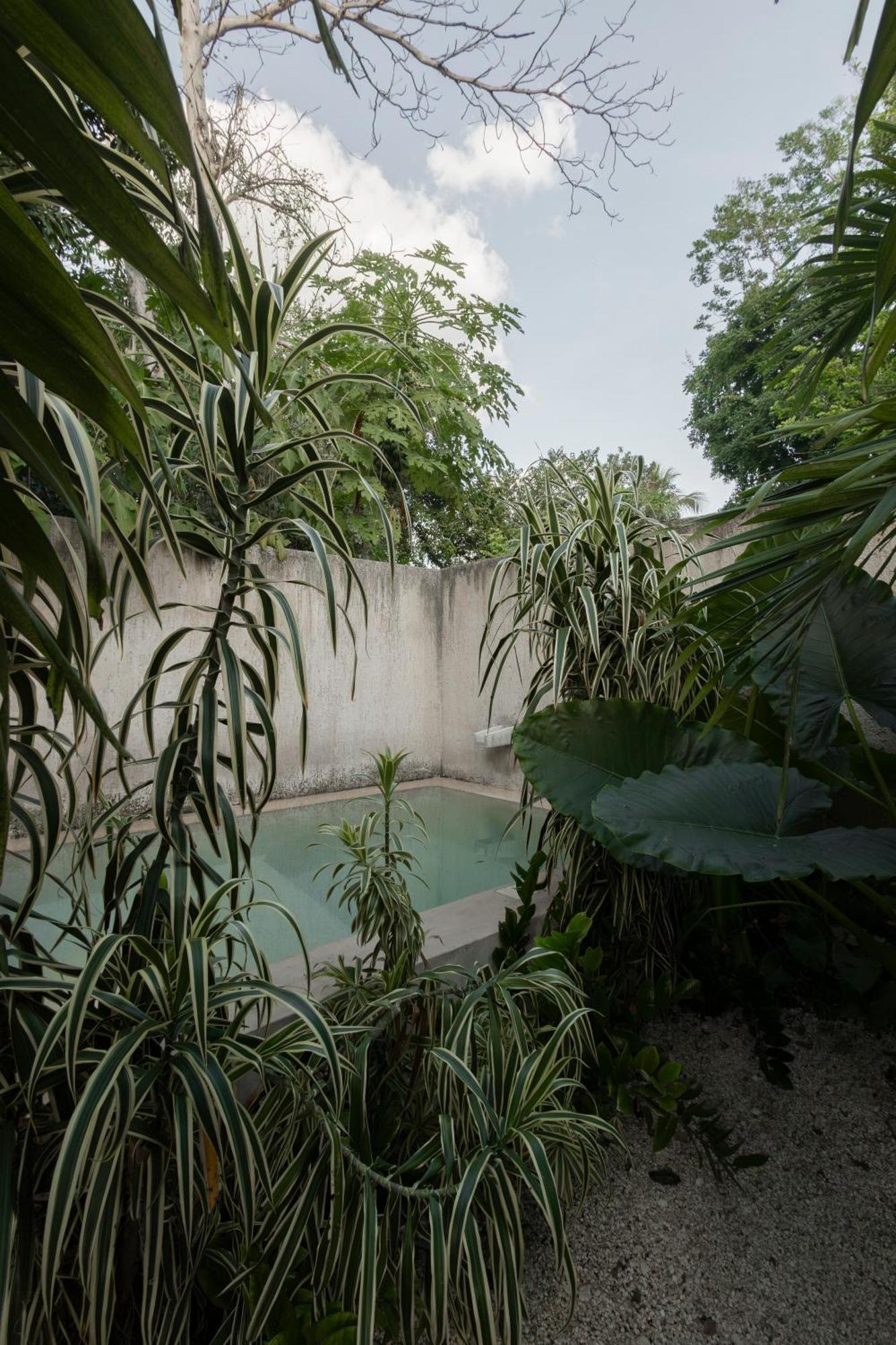 Villa La Sultana Amazing New House With Pool Valladolid  Exterior foto
